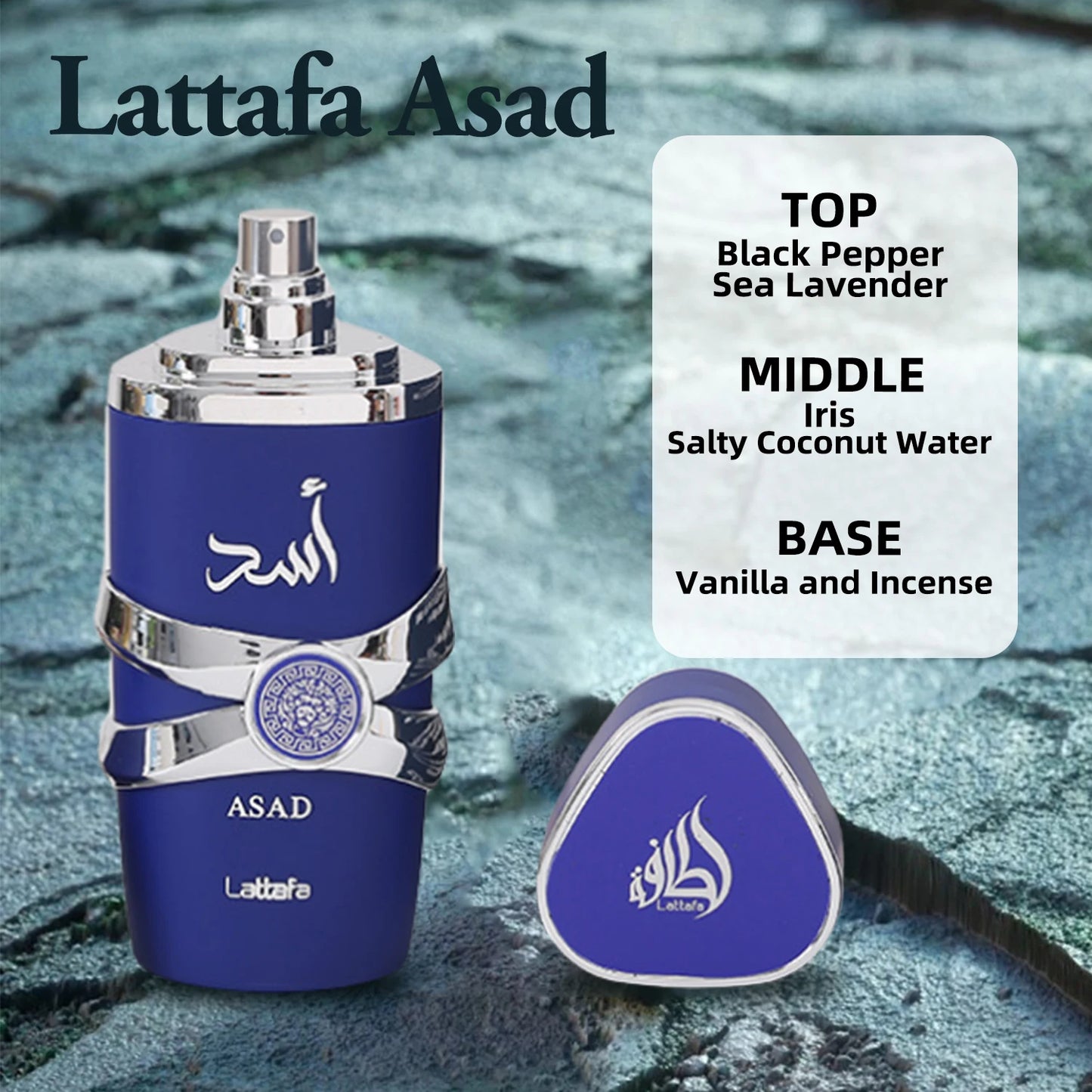 Lattafa Asad Bourbon Eau de Parfum 100ml – Original Unisex Arabic Perfume | Long-Lasting High-Quality Fragrance Spray for Men & Women